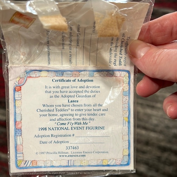 “Lance” Teddy Bear Pilot & Airplane - Picture 10 of 11